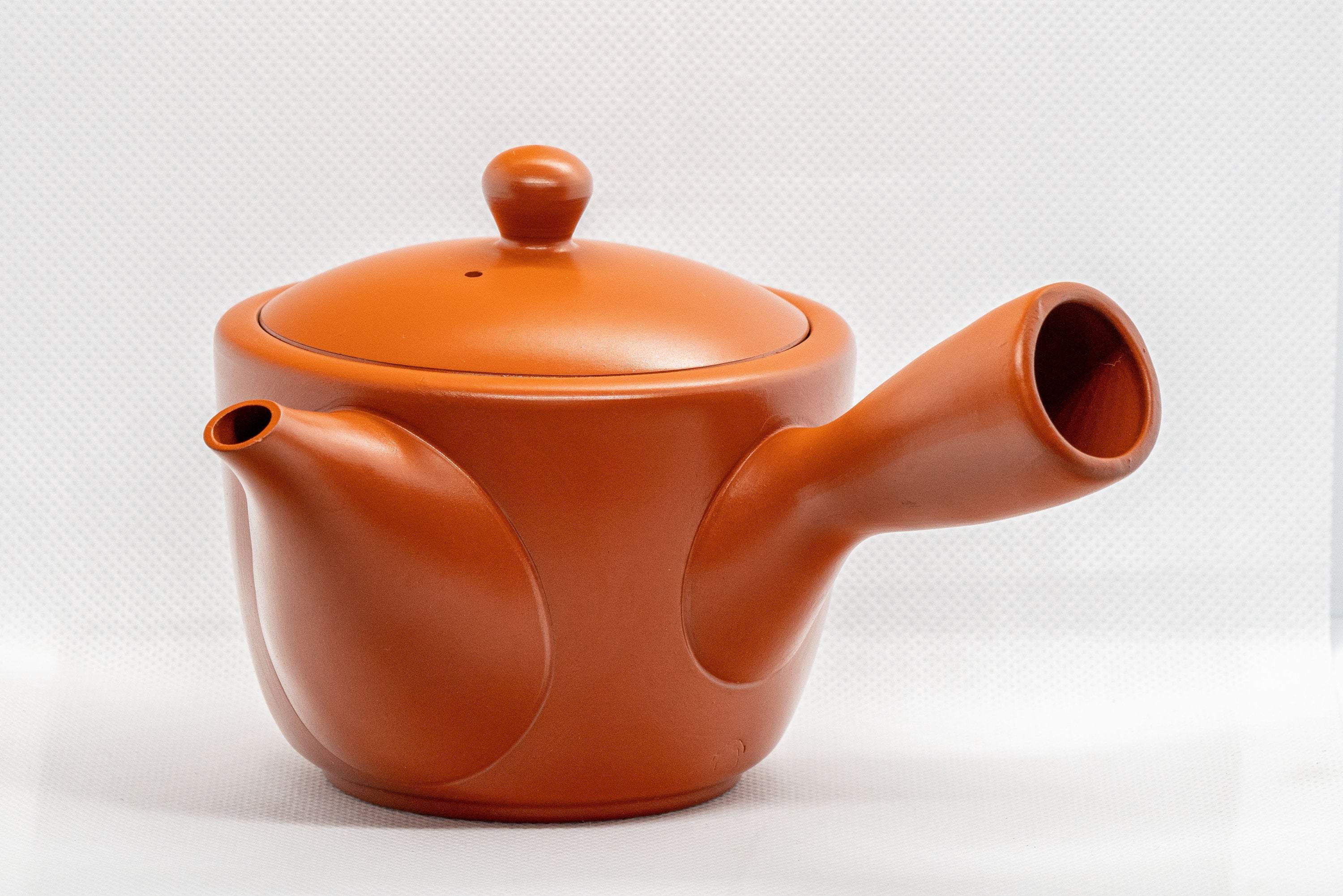 Japanese Kyusu Classic Tokonameyaki Teapot 350ml Tezumi