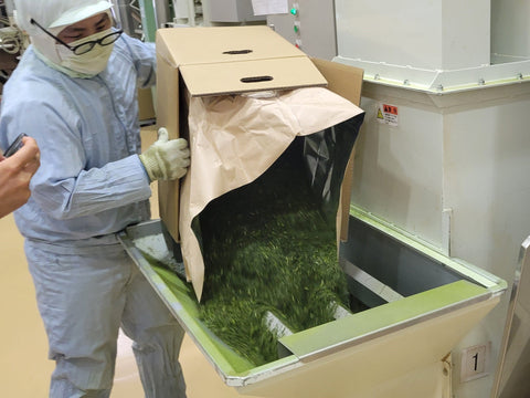 Masked workers refining tea among processing machinery in a Japanese tea factory.