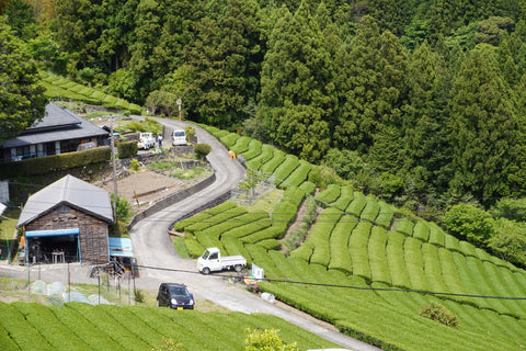Osada Seicha おさだ製茶