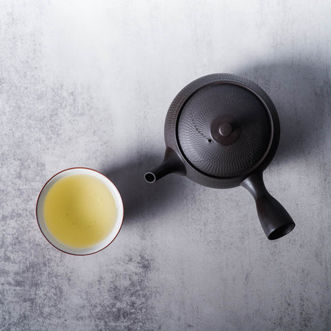 Tochiri Kokudei Tokoname Teapot - 350ml