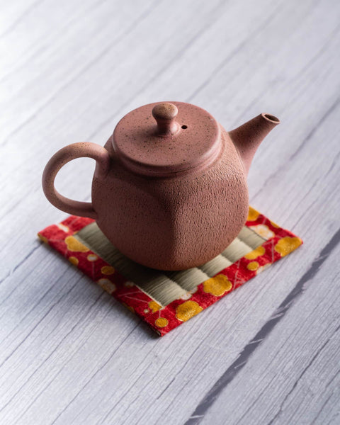Jinshū Pentagonal Rear-Handled Tokoname Teapot - 150ml