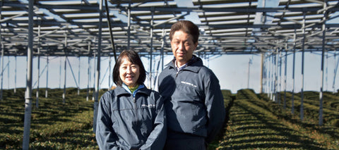 Two people standing in a field with solar panels in the background