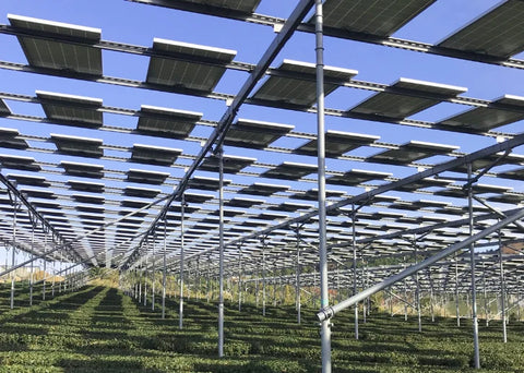 Solar panels on a metal framework against a blue sky
