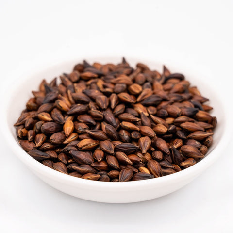 Mugicha - Barley Tisane