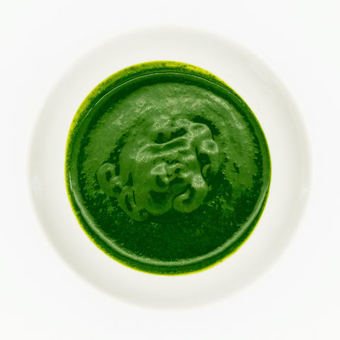 Shirakawa Samidori Matcha