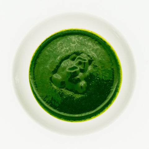 Shirakawa Uji-Hikari Matcha