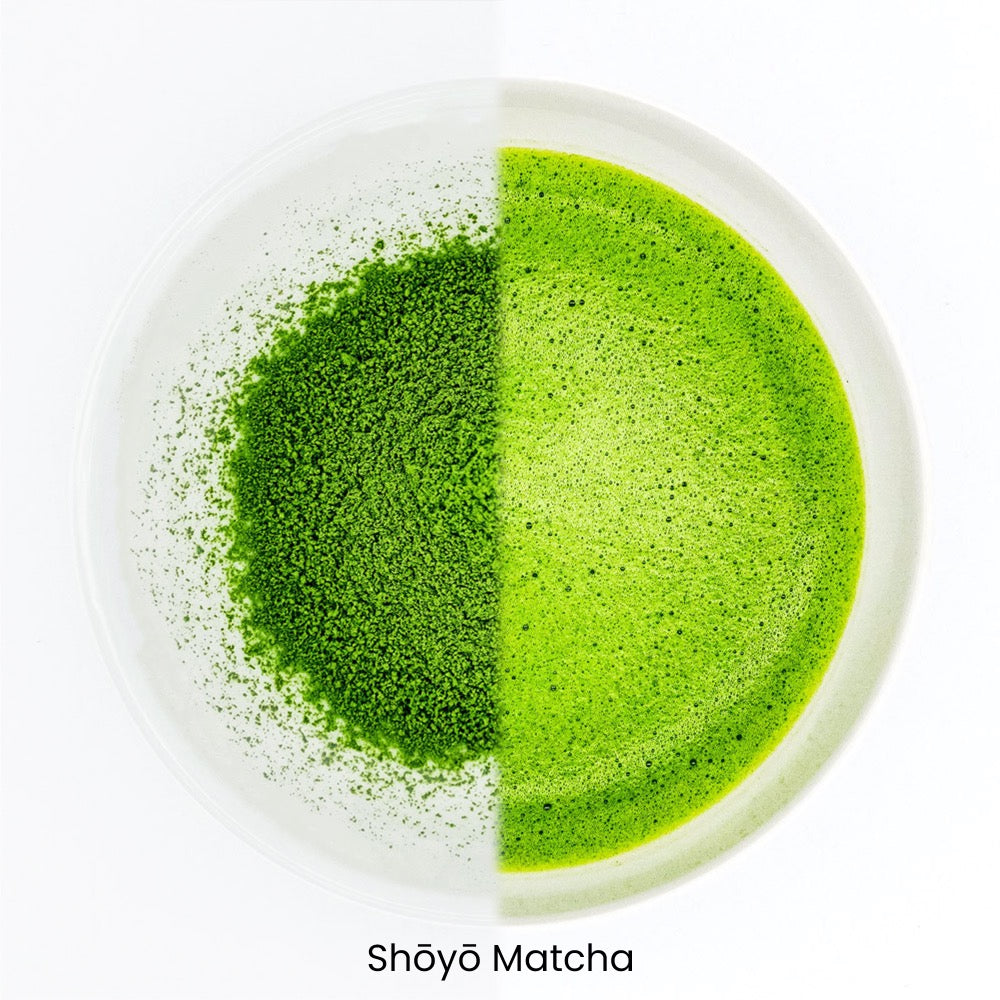 Rishouen Matcha Bundle