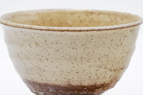 Hagi-yaki Biwa-iro Ido Chawan