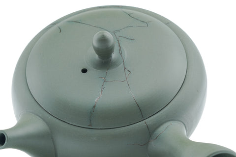 Green Mogake Seaweed Tokoname Teapot - 225ml