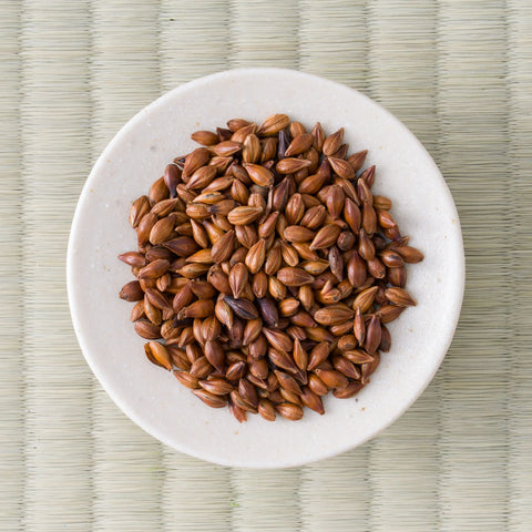 Mugicha - Barley Tisane