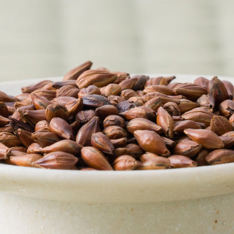 Mugicha - Barley Tisane