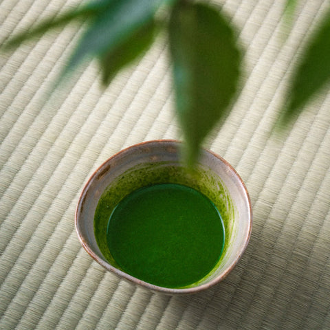Shōyō - Uji Matcha