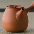 Close-up of the polished vermilion clay body and spout of the kyusu