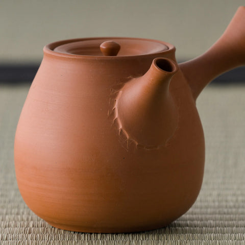 Close-up of the polished vermilion clay body and spout of the kyusu