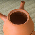 Close-up into the kyusu interior showing the reddish clay and strainer