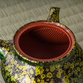 Close-up into the kyusu interior showing the reddish clay and fine mesh strainer