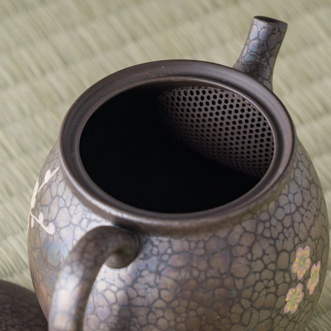 Close-up into the teapot interior showing the fine ceramic mesh strainer