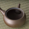 Close-up into the kyusu interior showing the built-in mesh strainer