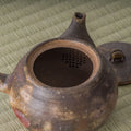 Close-up into the kyusu interior showing the pierced ceramic strainer holes at the spout