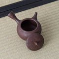 Dark clay kyusu with a side handle, lid removed to show the mesh strainer, on a tatami mat.