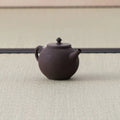 Purple-brown kyusu teapot with a loop handle and lid, side view on a tatami mat.