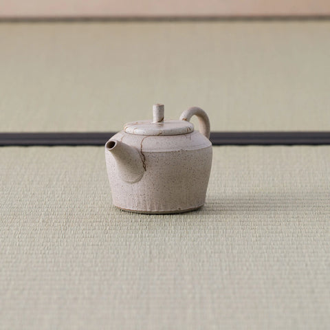 Speckled stoneware kyusu teapot, side view showing the spout, on a tatami mat.