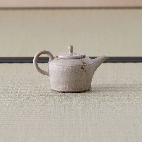 Speckled stoneware kyusu teapot with a loop handle and lid, side view on a tatami mat.
