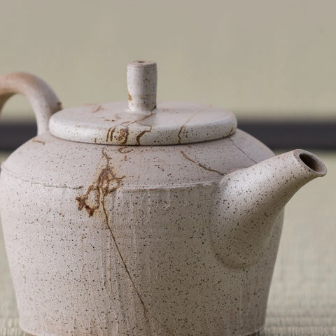 Speckled stoneware kyusu teapot with a loop handle and rust-brown markings, side view on a tatami mat.