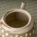Close-up into the kyusu interior showing the built-in metal mesh strainer at the spout