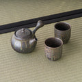 Metallic-grey tokoname tea set — a carved side-handle kyusu with two matching cups, on tatami