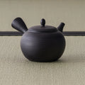 Side view of the black tokoname kyusu with the hollow side handle at left