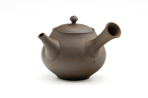 Cherry Blossom Yakishime Tokoname Teapot - 270ml