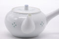 Three-quarter view of the kyusu with lid on, spout and handle visible.