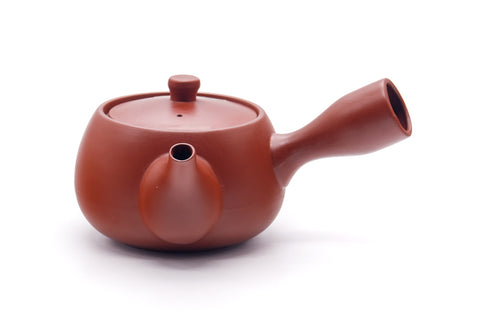 Japanese Kyusu - Engraved Tokoname Mesh Teapot - 350ml
