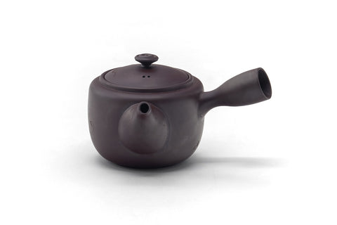 Japanese Kyusu - Floral Engraved Banko Teapot - 200ml
