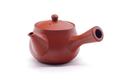 Japanese Kyusu - Long Grass Engraved Tokoname Teapot - 280ml