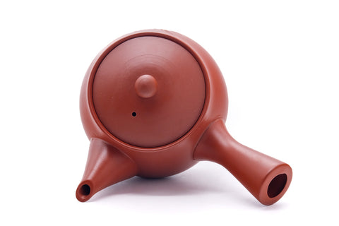 Japanese Kyusu - Long Grass Engraved Tokoname Teapot - 280ml