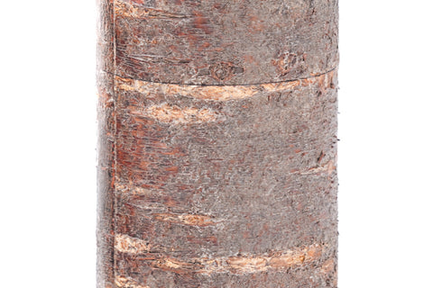 Kabazaiku Chazutsu - Unpolished Cherry Bark Tea Canister - 100g