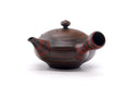 Side profile showing the spout, side handle, and squat body of the kyusu.