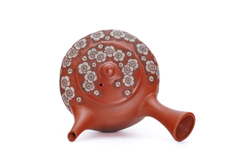 Double-Layer Plum Blossom Tokoname Teapot - 220ml