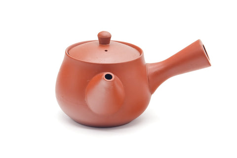 Tezumi — Japanese Kyusu - Bamboo Engraved Tokoname Teapot - 340ml — three-quarter view from the opposite side