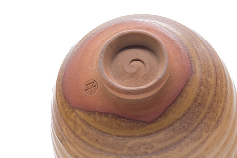 Close-up of the underside showing the spiral foot and reddish clay.