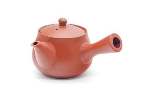 Tezumi — Japanese Kyusu - Bamboo Engraved Tokoname Teapot - 340ml — side view showing the spout