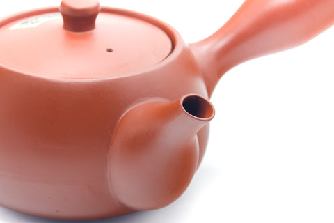 Japanese Kyusu - Engraved Mesh Tokoname Teapot - 340ml