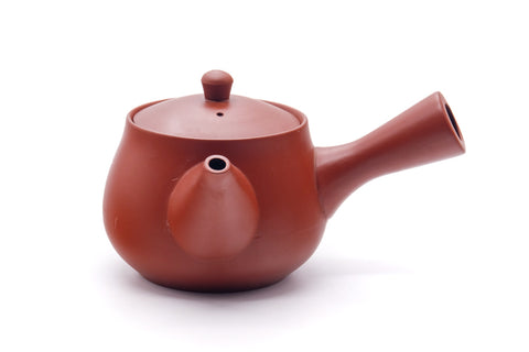 Japanese Kyusu - Long Grass Engraved Tokoname Teapot - 280ml