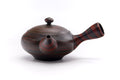 Front view of the teapot showing the spout, domed lid, and rounded body.