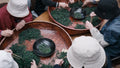 Workers in white caps sorting tencha with chopsticks around wide lacquered trays