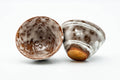 The pair with one cup tipped to reveal its rust-toned foot.