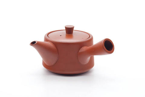 Tezumi — Japanese Tea Set - Bamboo Engraved Tokoname-yaki Kyusu Teapot with 5 Yunomi Teacups — the teapot side view with the handle