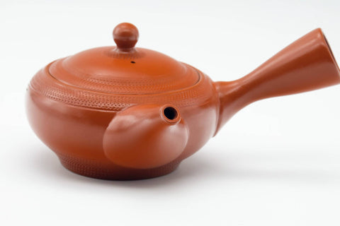 Japanese Kyusu - Engraved Leaves Tokoname-yaki Mesh Filter Teapot - 200ml